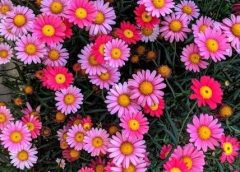 free printable barbie clothes patterns pdf